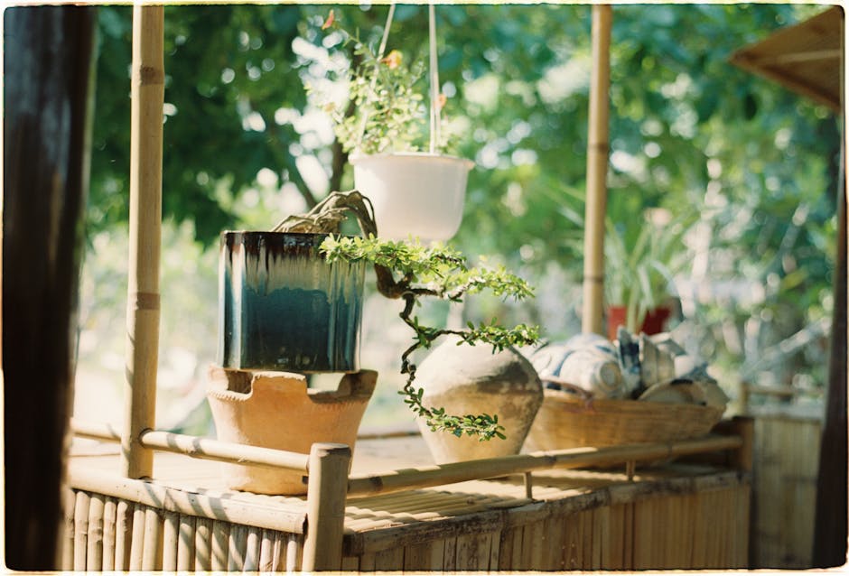Serene bamboo patio featuring a variety of potted plants in natural sunlight.